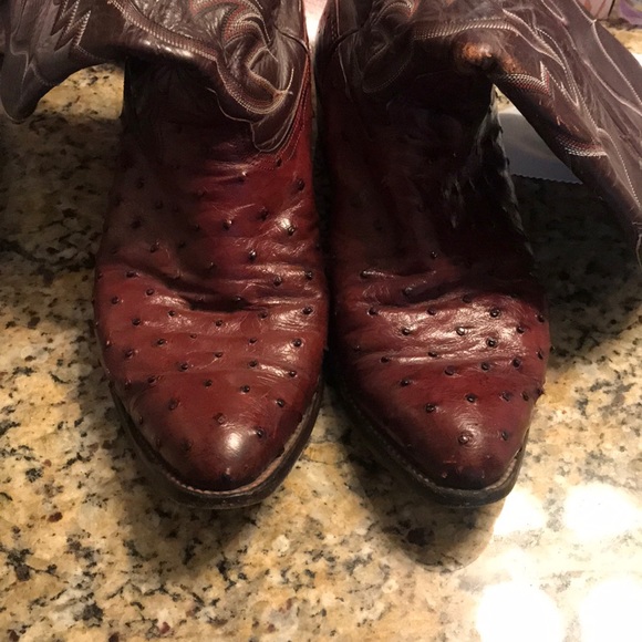 Nocona Full Quill Ostrich Boots - Picture 1 of 3